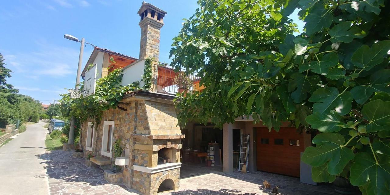 Kmetija Jogan, Wines & Apartments Pobegi Exterior photo